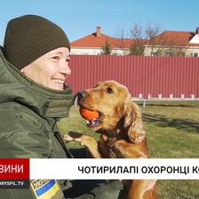 Чотирилапі охоронці кордону: як собаки несуть службу в аеропорту "Бориспіль"